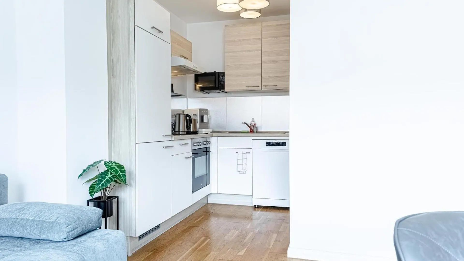 Chic 1Br And 1Lr Apt In Central Vienna